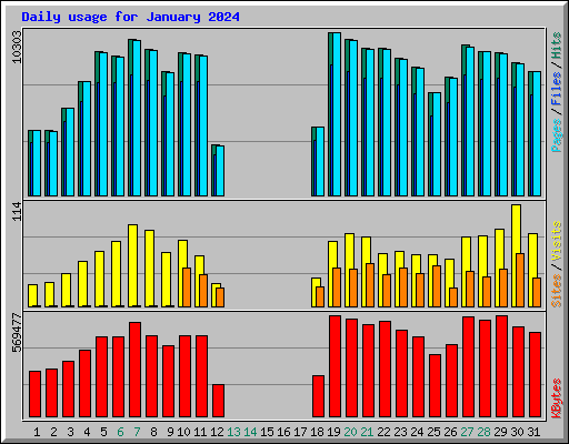 Daily usage for January 2024