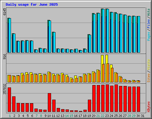 Daily usage for June 2025