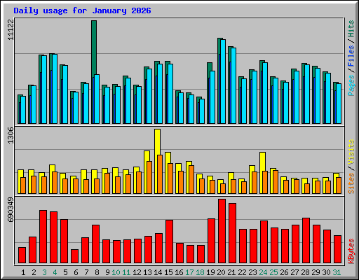 Daily usage for January 2026