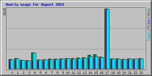 Hourly usage for August 2023