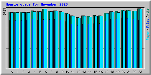 Hourly usage for November 2023