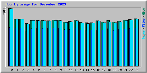 Hourly usage for December 2023