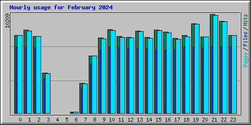 Hourly usage for February 2024
