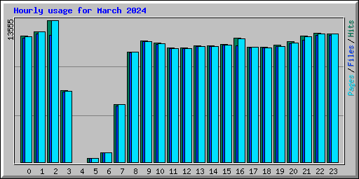 Hourly usage for March 2024
