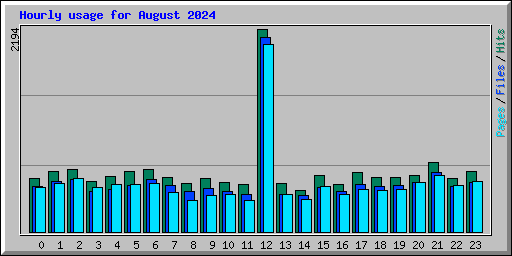 Hourly usage for August 2024