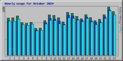 Hourly usage for October 2024