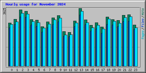 Hourly usage for November 2024