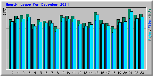Hourly usage for December 2024