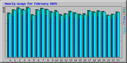 Hourly usage for February 2025