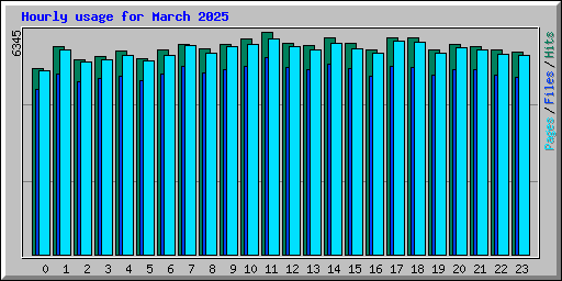 Hourly usage for March 2025