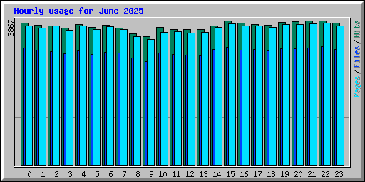 Hourly usage for June 2025