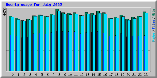 Hourly usage for July 2025