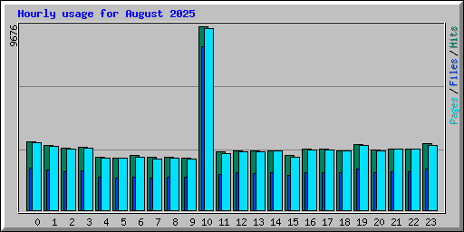 Hourly usage for August 2025