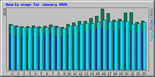 Hourly usage for January 2026
