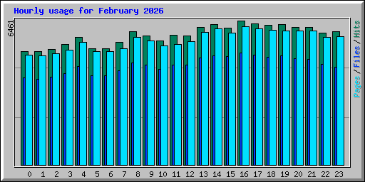 Hourly usage for February 2026