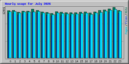 Hourly usage for July 2026
