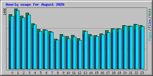 Hourly usage for August 2026
